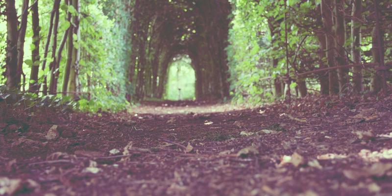 人因工学照明新纪元：LED灯具与亮化工程如何重塑健康办公环境