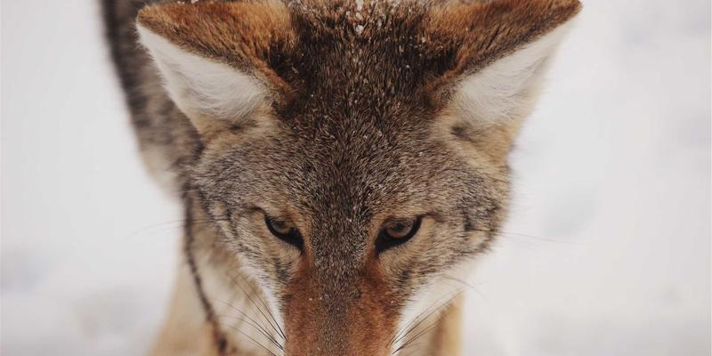 从建筑照明到智能核心：会议室景观照明如何重塑协作与专注