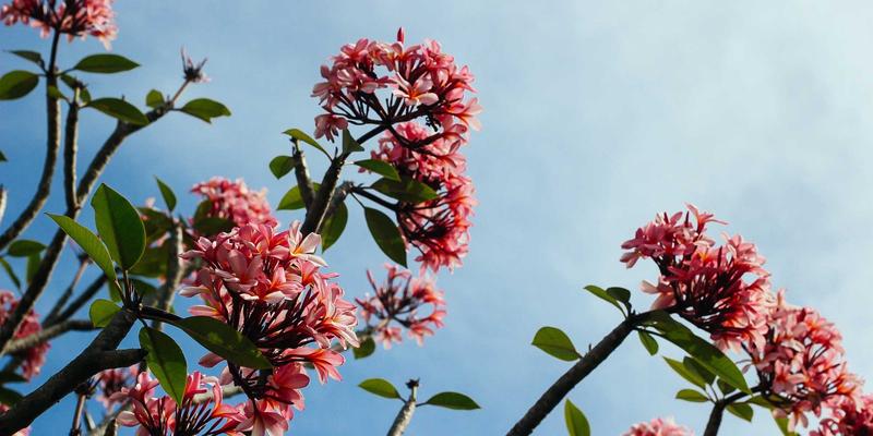 光学透镜与反光杯设计：塑造建筑照明与亮化工程配光性能的核心