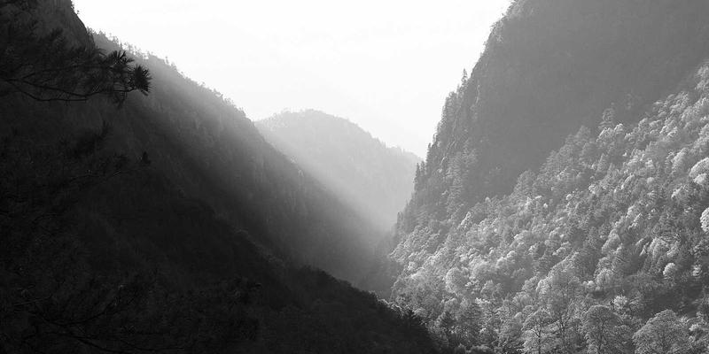 光影的艺术：博物馆与美术馆专业展陈照明中景观、核心与建筑照明的融合之道