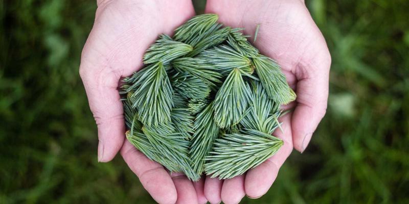 地下停车场照明新纪元：高效节能与安全保障的LED照明解决方案