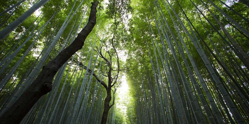 工业4.0新视野：亮化工程如何驱动智能工厂的照明解决方案与生产线视觉增强