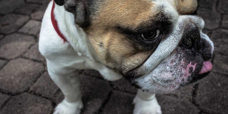 核心照明100：以卓越照明解决方案，重塑城市景观照明新维度