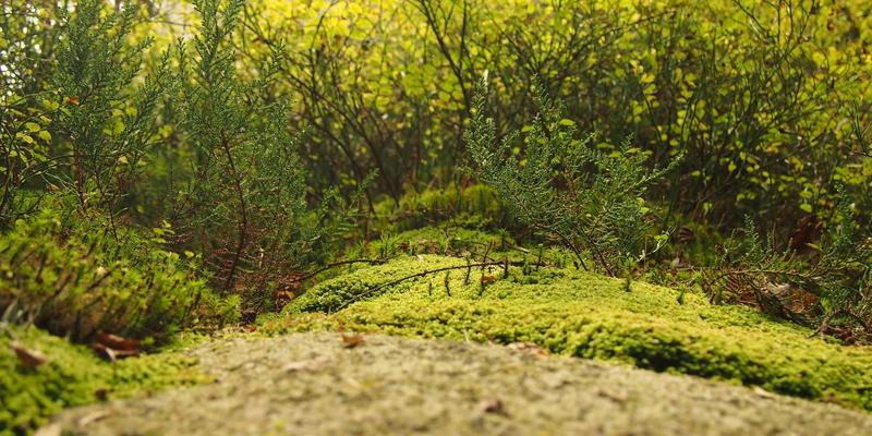 核心照明37：以创新技术重塑现代亮化工程与建筑照明新格局