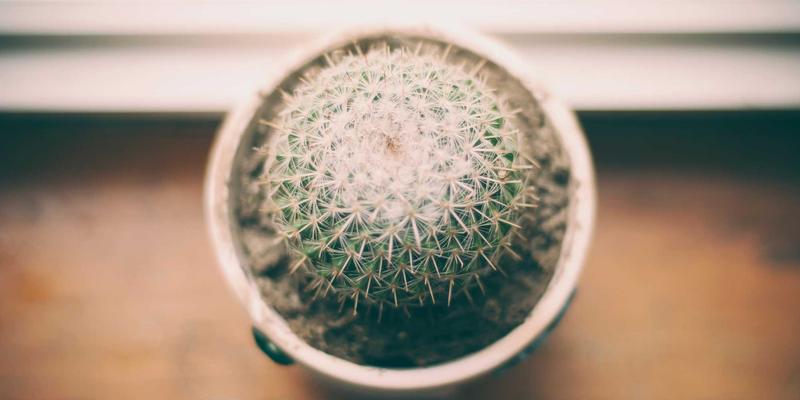 核心照明3：重塑建筑空间的智能照明解决方案