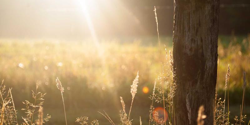 核心照明51:以创新照明解决方案重塑建筑空间美学与功能