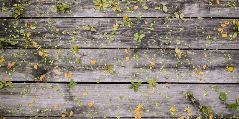 核心照明97：以创新LED技术重塑现代照明与景观光环境