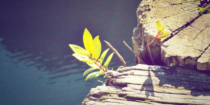 核心照明攻略：从建筑照明、产品选型到亮化工程的全面解析