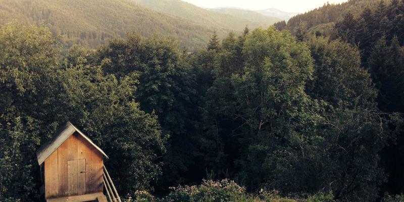 照明产品如何重塑办公环境：景观照明与专业照明解决方案对员工效率与健康的深度影响